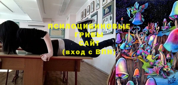 эйфоретик Нязепетровск