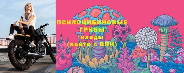 эйфоретик Нязепетровск