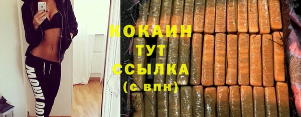 таблы Няндома