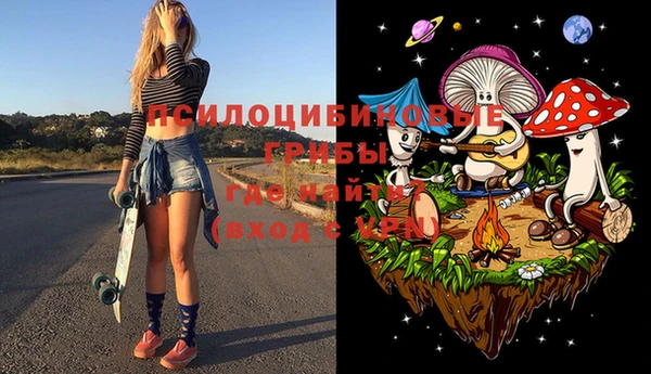 сатива Нягань