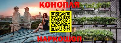 ГАЛЛЮЦИНОГЕННЫЕ ГРИБЫ Кингисепп