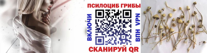 гидра сайт  сколько стоит  Ступино  площадка какой сайт  Галлюциногенные грибы MAGIC MUSHROOMS 